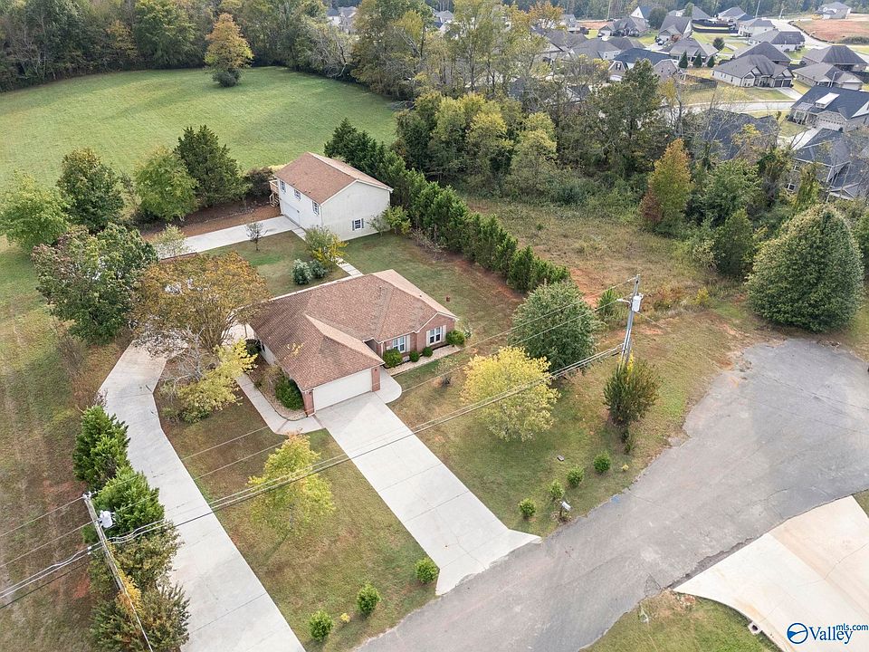 2nd image of Analicia Dr