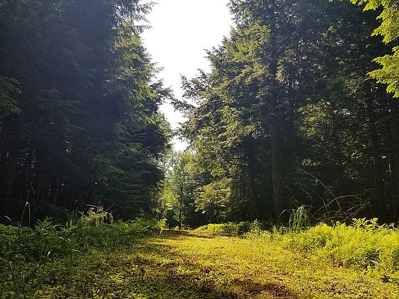3rd image of LOT-28A Woodland Dr