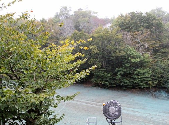 5th image of 103 Wedling Weg