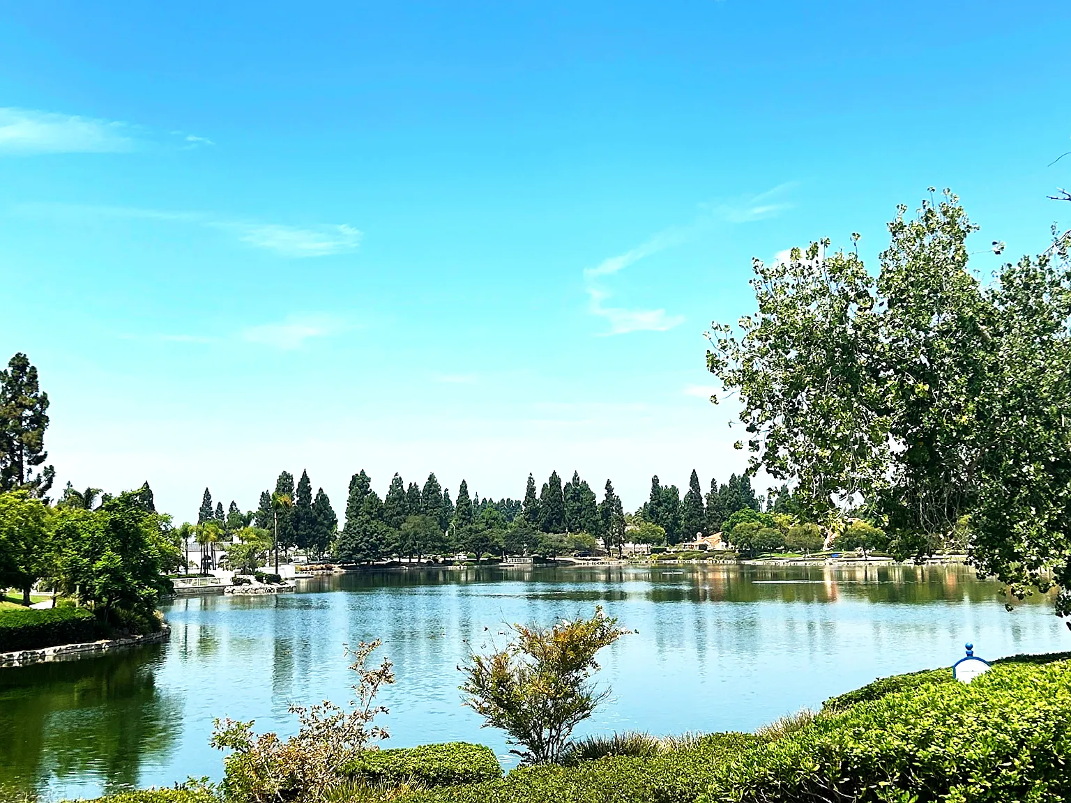 2 bed, $2,795 — Photo 4