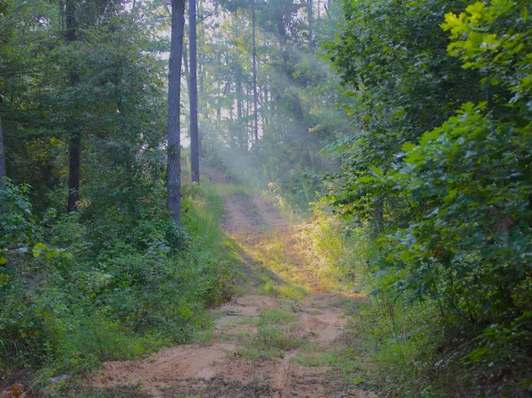 2840 Saulsbury Rd, Saulsbury, TN 38067