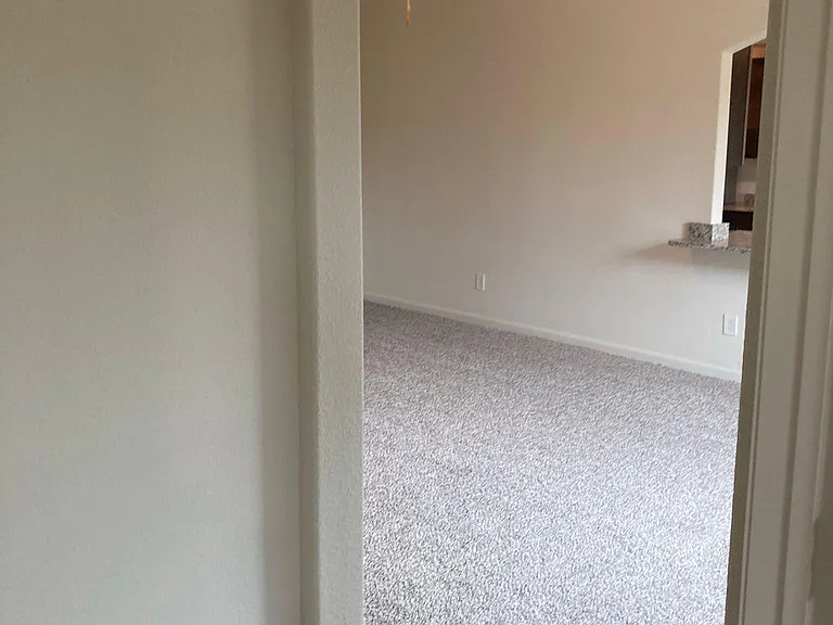 3007 Boran Dr — Photo 19