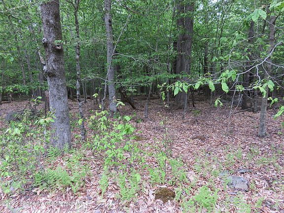 2nd image of LOT-2314T Lc Larsen Dr