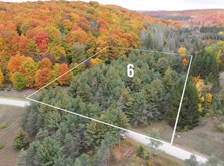 3142 Needles Dr #6, Harbor Springs, MI 49740