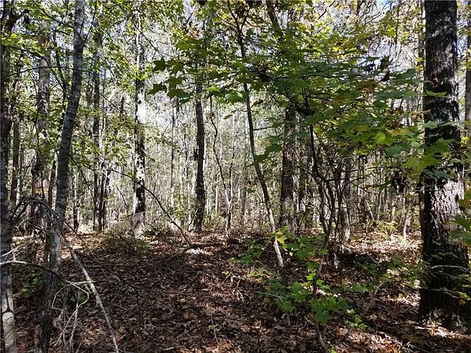 3987 Lee Road 175, Salem, AL 36874 Zillow