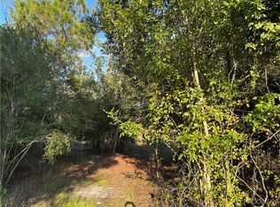 8338 Hardstone Dr, Webster, FL 33597