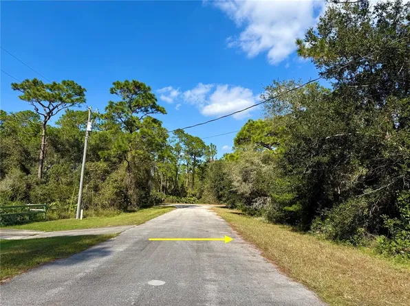 LOT 7 Chinaberry Way #700, Eustis, FL 32736