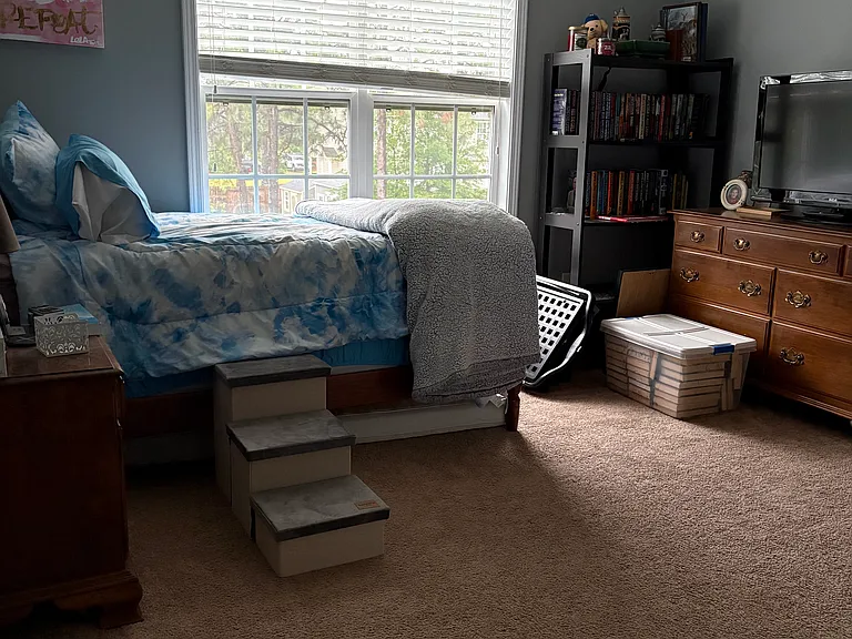 36 Teak Wood Ct — Photo 27