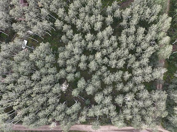 3rd image of 5057 N Larkspur Rd