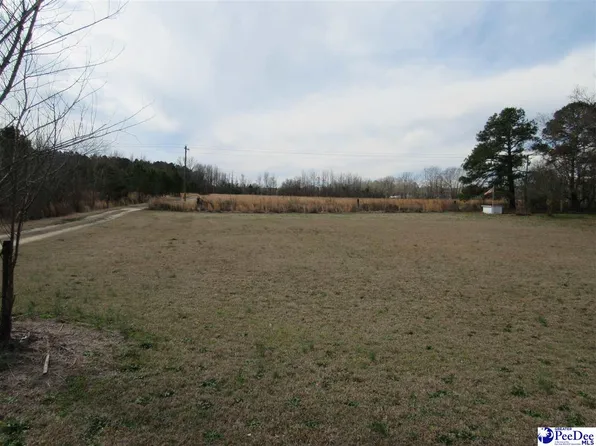 1040 E Lynches River Rd, Lamar, SC 29069