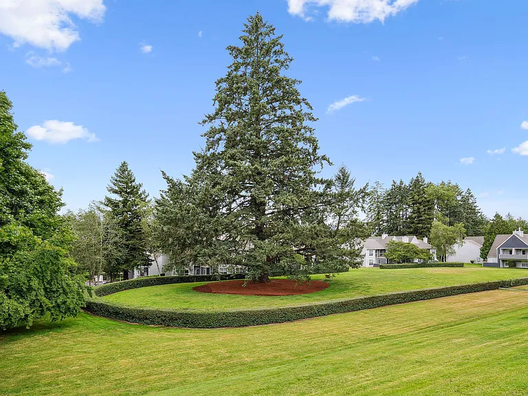The Frank Estate — Photo 90