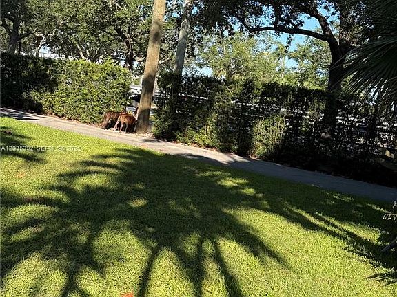 4th image of 10115 Biscayne Blvd