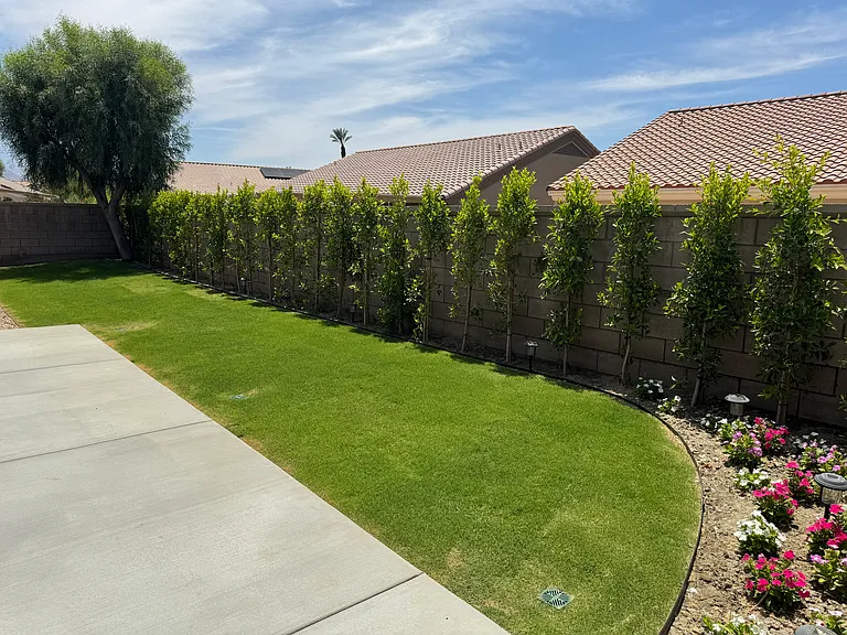 37677 Mojave Sage St — Photo 2