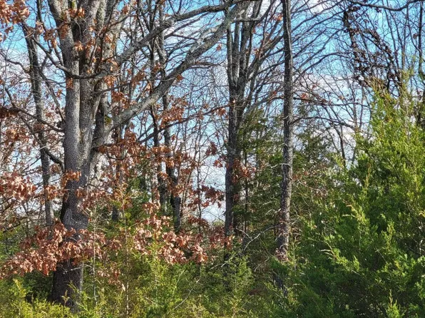 00 Mills Valley, Marshfield, MO 65706