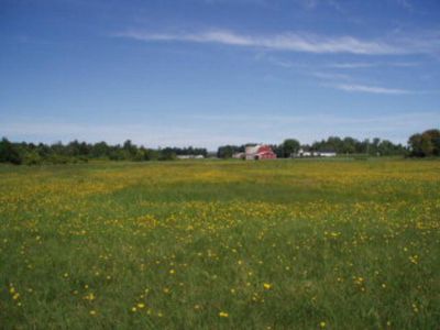 0L1 Military Tpke, Plattsburgh, NY, 12901