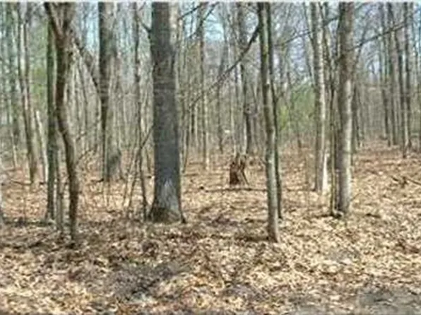 8938 Mackinaw Trail Dr, Howard City, MI 49329