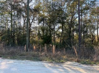 0 SW 159th Ct, Ocala, FL 34481