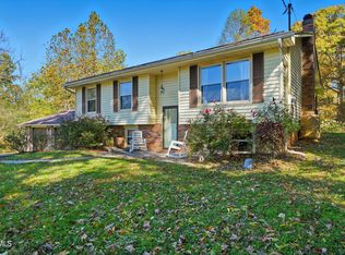 304 Rutledge Ln, Blountville, TN 37617