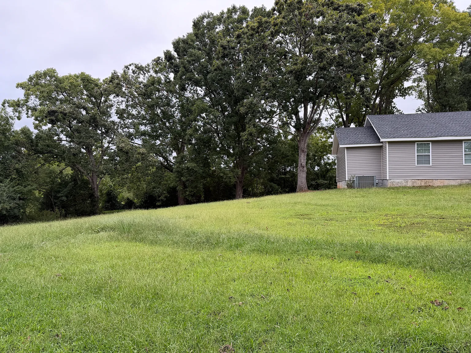 3 bed, 1520 sqft, $1,350 — Photo 4