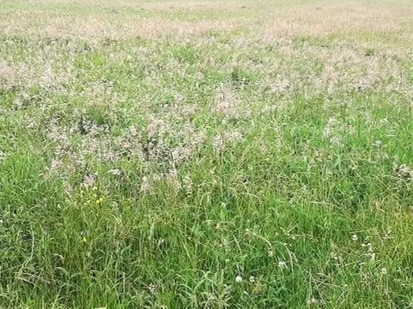 Reed Ln, Alma, AR 72921