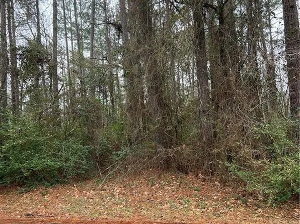 0 Camp Livingston Rd, Ball, LA 71405