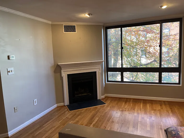 cozy living room