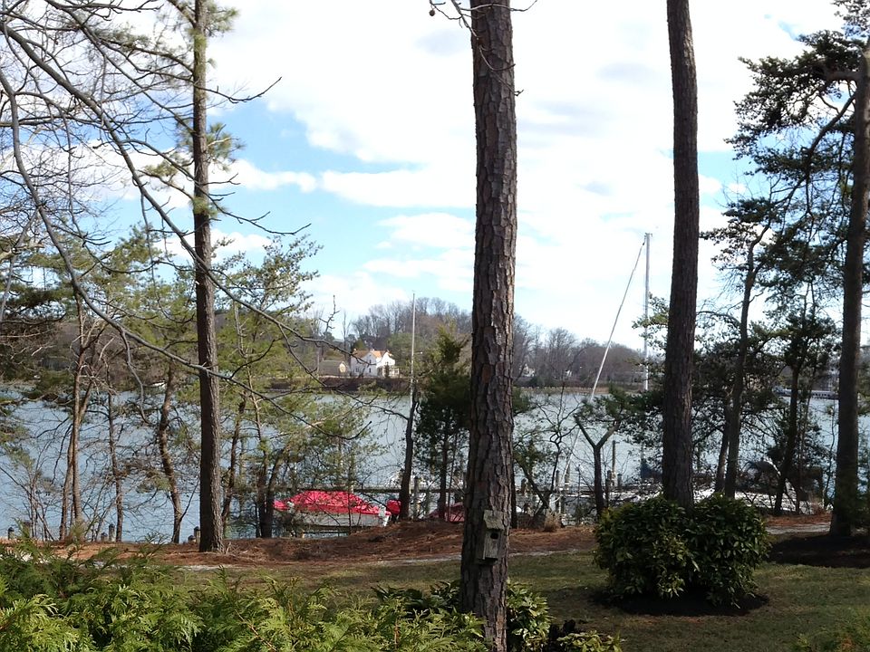 View from rear deck