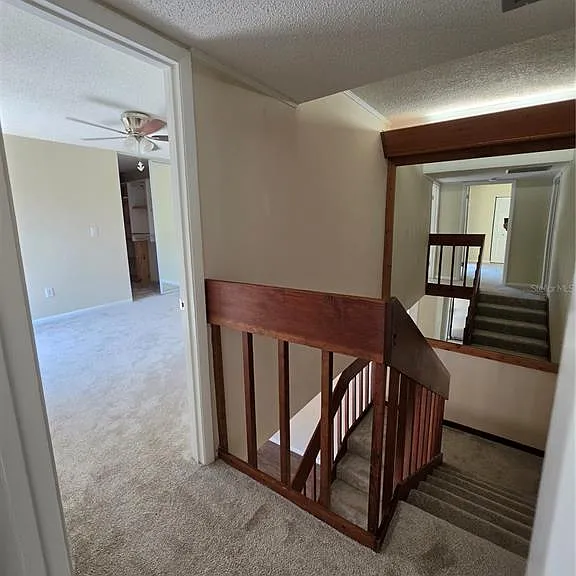 3824 Saxon Dr — Photo 34