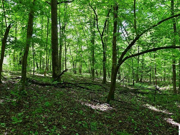 5th image of 0 Donahue Rd