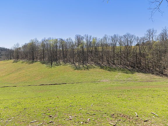 17th image of this home