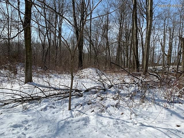 2nd image of 63460 Walnut Rd