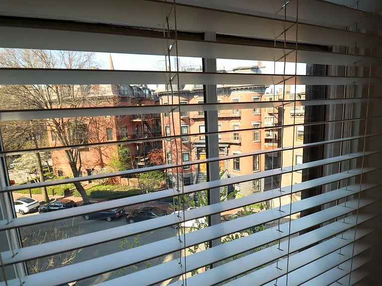 Window View