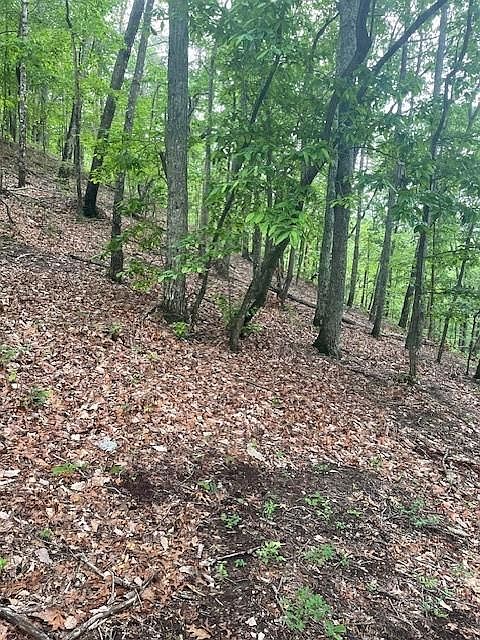 1st image of 356 Orieole Ct #356