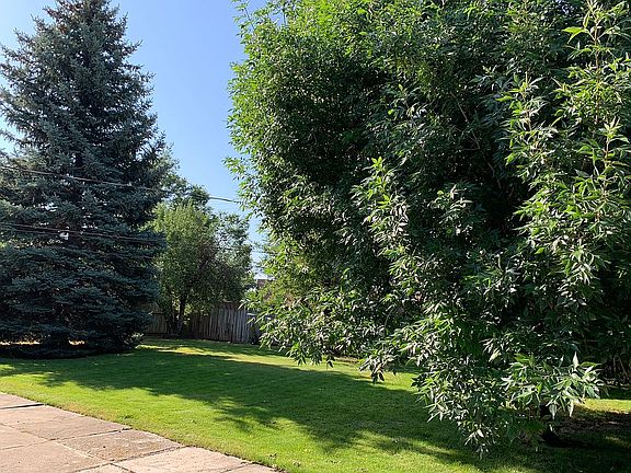 Mature trees-terrific shade