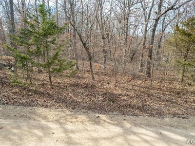 Horizon Rd, Lebanon, MO, 65536