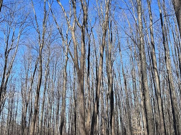 5th image of V/l 5 Painesville Warren Rd