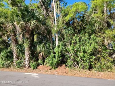 2656 Orange Ave, Mims, FL, 32754