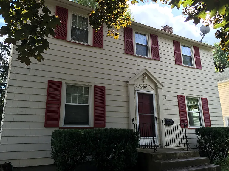 107 Elmerston Rd — Photo 10