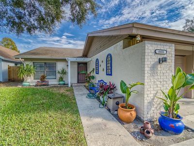 4404 Ridgeline Cir, Tampa, FL, 33624