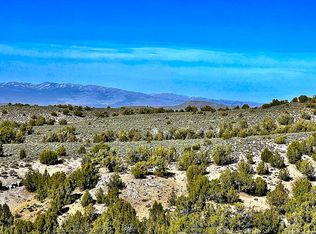 Twelvemile Canyon Rd, Montello, NV 89830