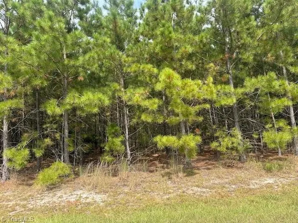 TRACT 14 Belford Church Rd, Jackson Springs, NC 27281
