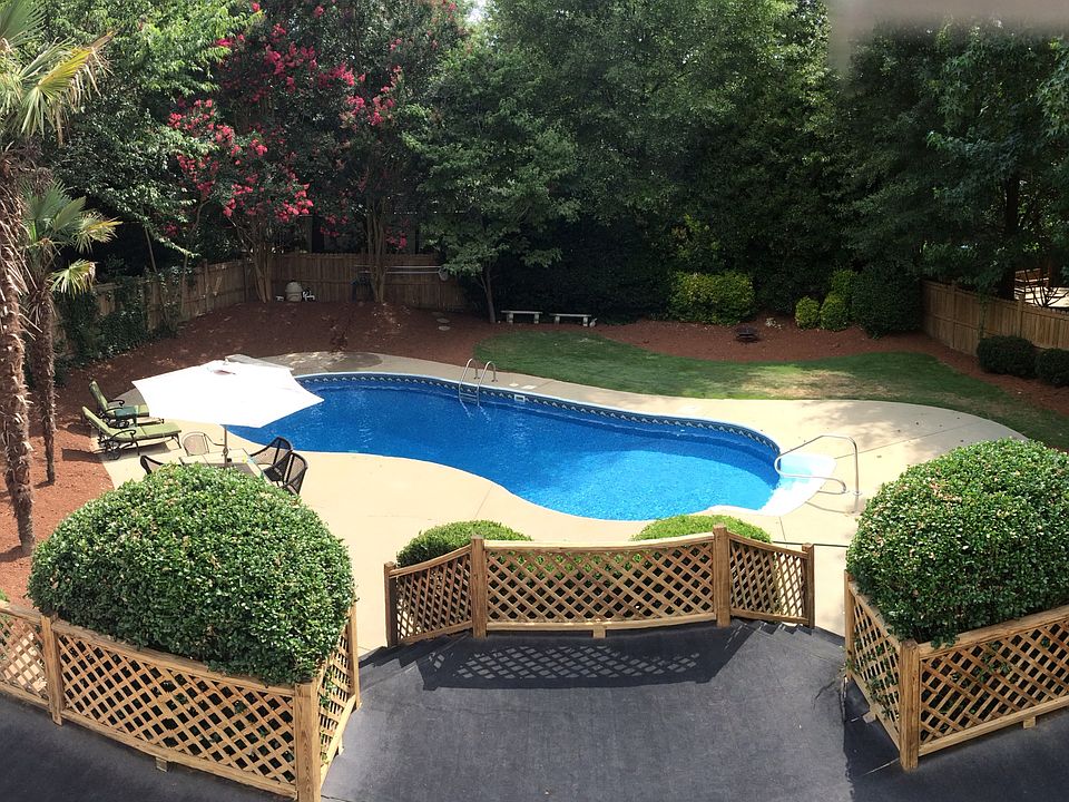 Backyard Pool & Palms