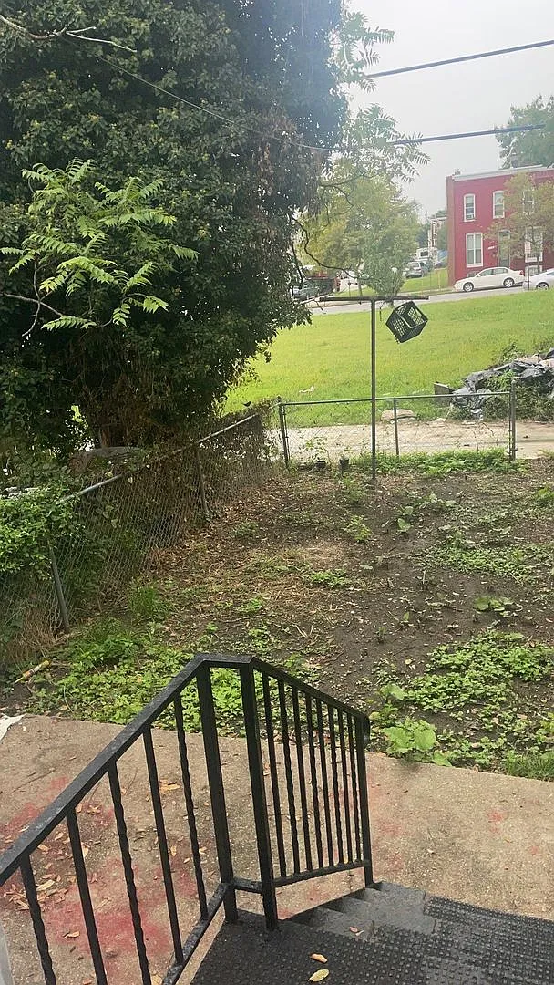2406 Druid Hill Ave — Photo 2