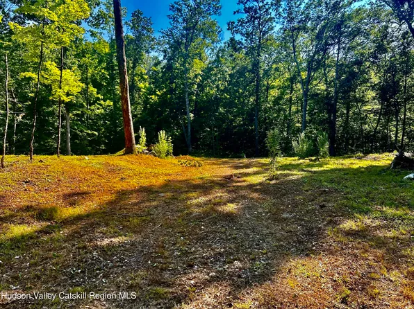 80 Forever Ivy Lane, Hyde Park, NY 12538