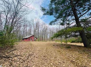 11651 E 22 3/4 Rd, Manton, MI 49663