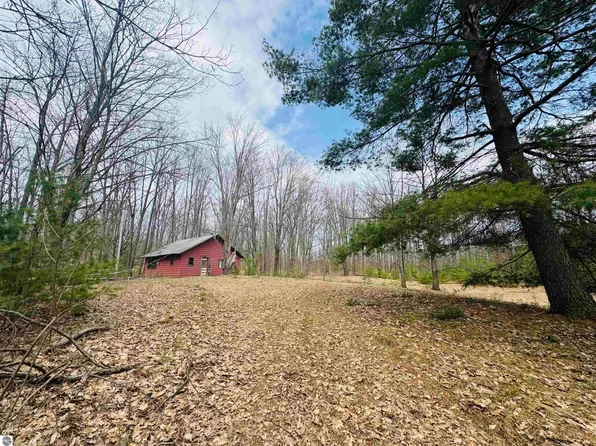 11651 E 22 3/4 Rd, Manton, MI 49663