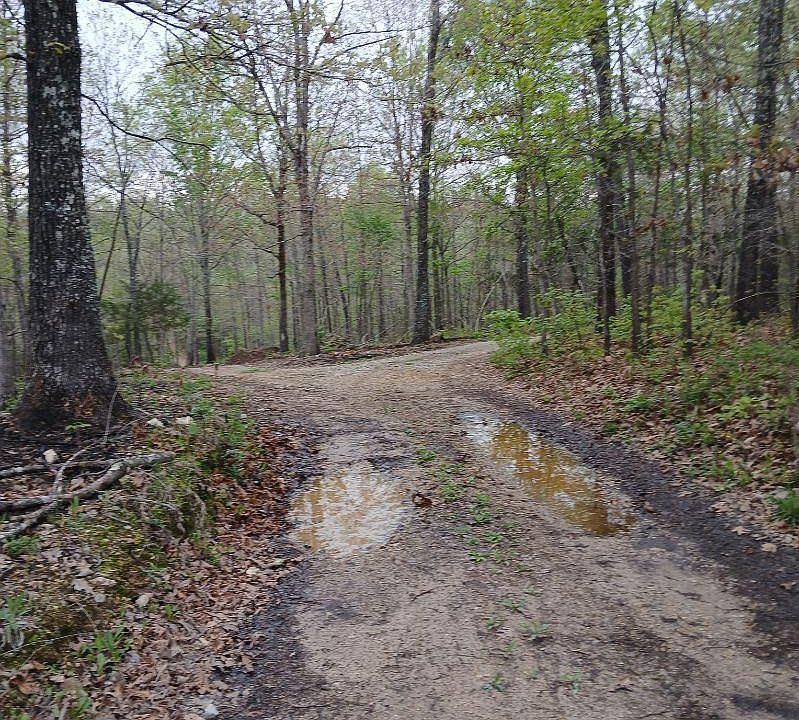 2nd image of 6512 County Road 3850