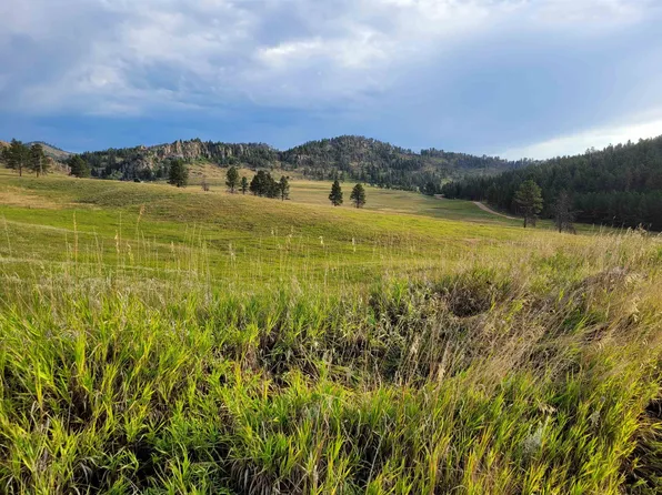 Tbd Beaver Creek Rd, Custer, SD 57730