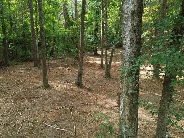 TRACT 3-3C Leggett Rd #B, Walker, LA 70785