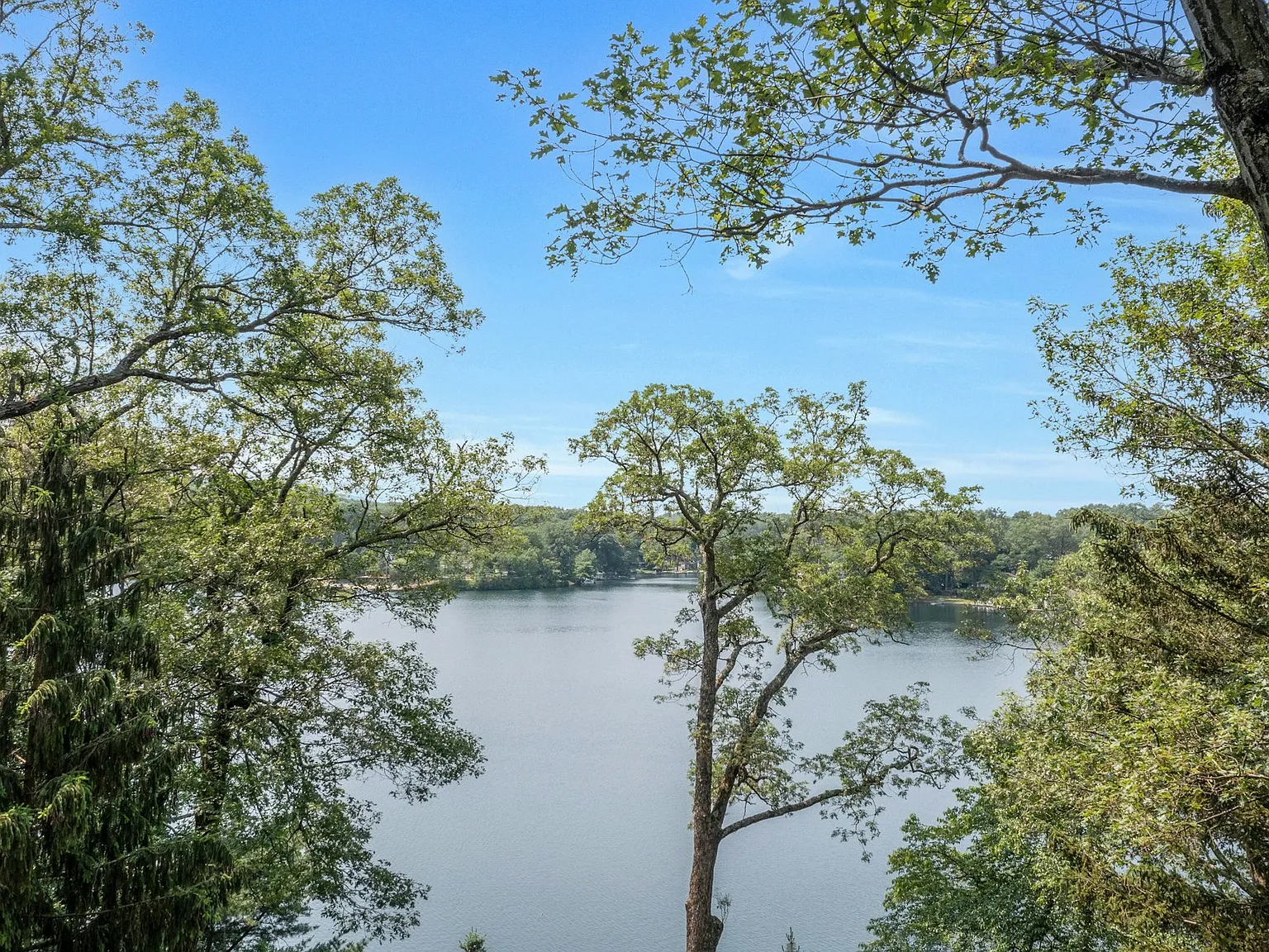 2 bed, 750 sqft, $3,000 — Photo 4